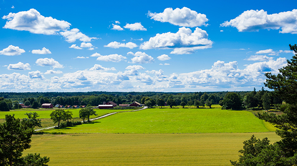 Redis 实现库存扣减操作的技术探讨