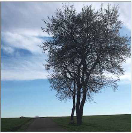 27个Linux下软件包管理工具DNF的命令例子